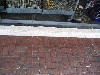 IMG_0224.jpg